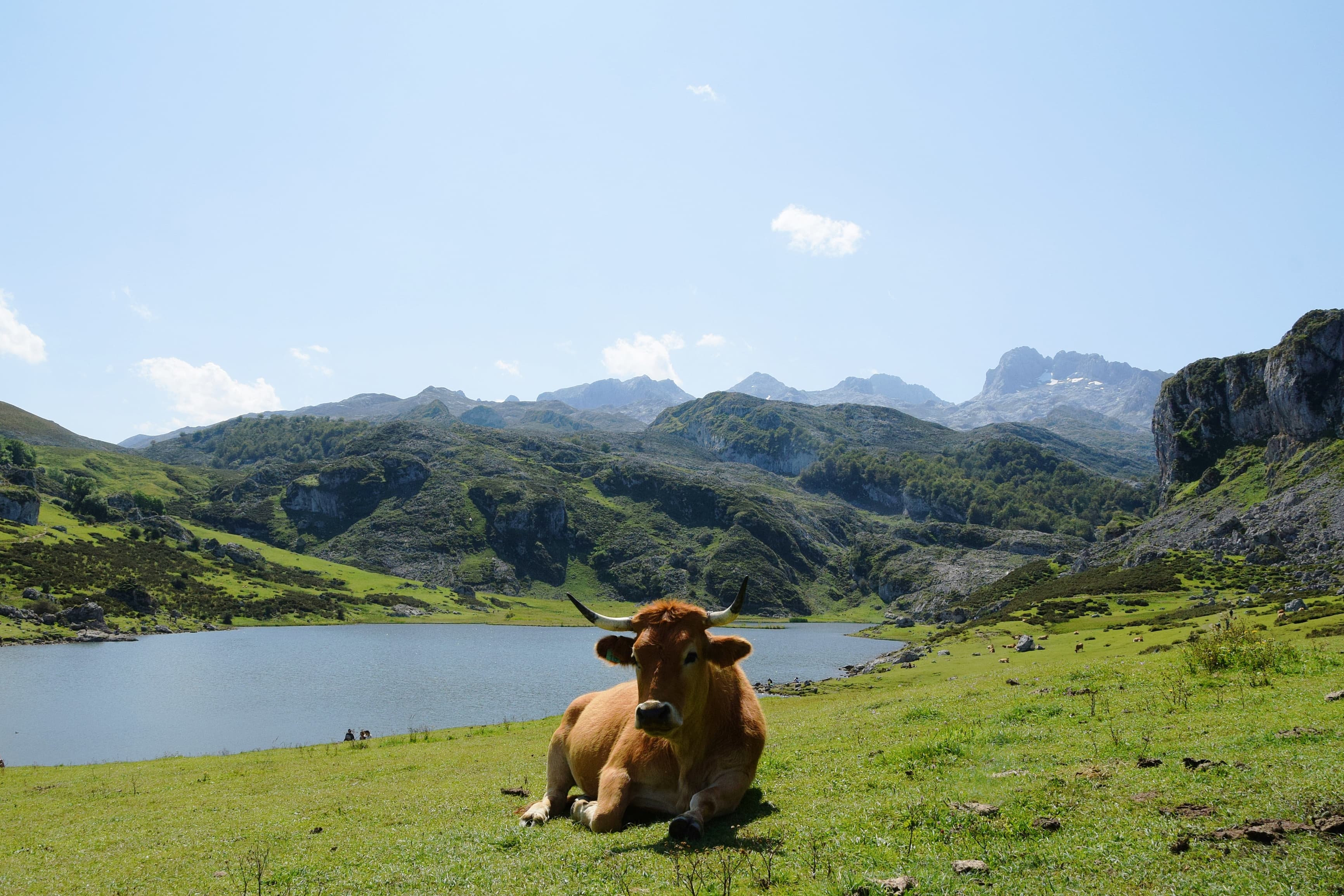 Blick auf Lagos de Covadonga in Picos de Europa, Asturien.